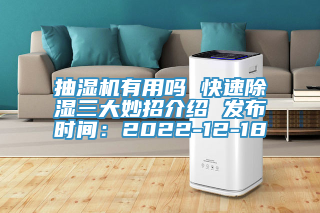 抽湿机有用吗 快速除湿三大妙招介绍 发布时间：2022-12-18