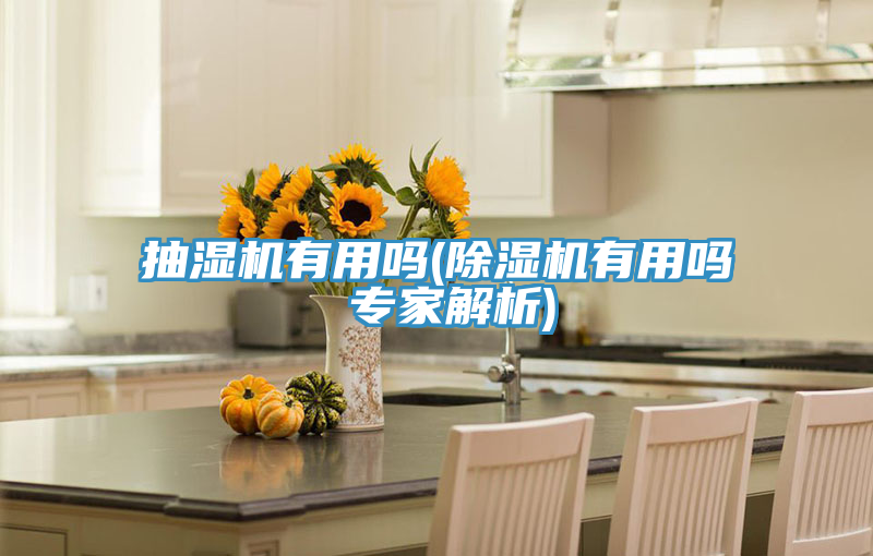 抽湿机有用吗(MR.好色破解版有用吗 专家解析)