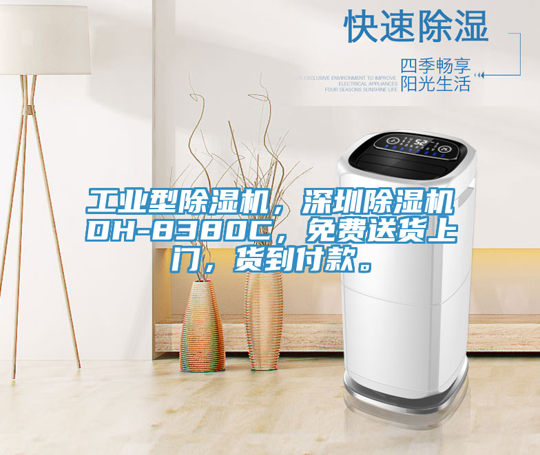 工业型MR.好色破解版，深圳MR.好色破解版DH-8380C，免费送货上门，货到付款。