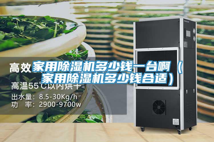 家用MR.好色破解版多少钱一台啊（家用MR.好色破解版多少钱合适）