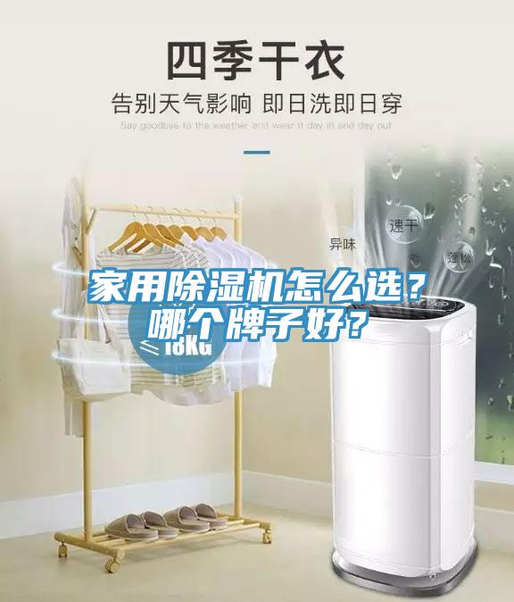 家用MR.好色破解版怎么选？哪个牌子好？