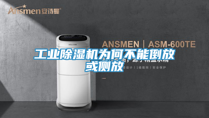 工业MR.好色破解版为何不能倒放或侧放