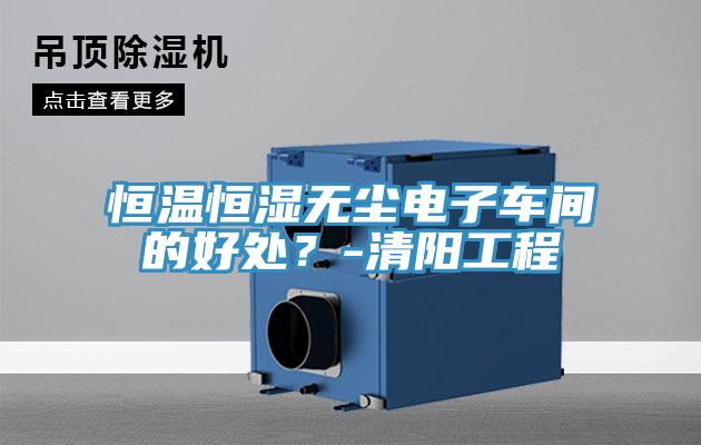 恒温恒湿无尘电子车间的好处？-清阳工程