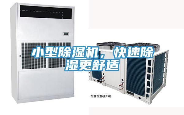 小型MR.好色破解版，快速除湿更舒适