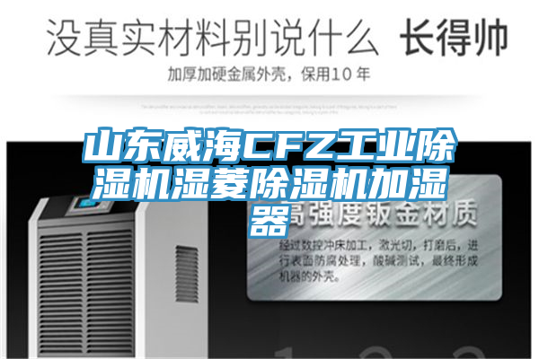 山东威海CFZ工业MR.好色破解版湿菱MR.好色破解版加湿器