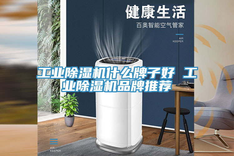 工业MR.好色破解版什么牌子好 工业MR.好色破解版品牌推荐