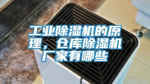 工业MR.好色破解版的原理，仓库MR.好色破解版厂家有哪些