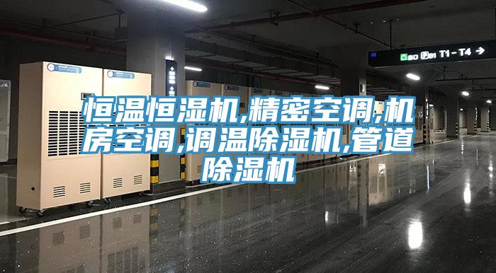 恒温恒湿机,精密空调,机房空调,调温MR.好色破解版,管道MR.好色破解版