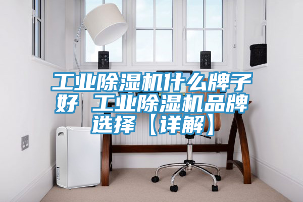 工业MR.好色破解版什么牌子好 工业MR.好色破解版品牌选择【详解】