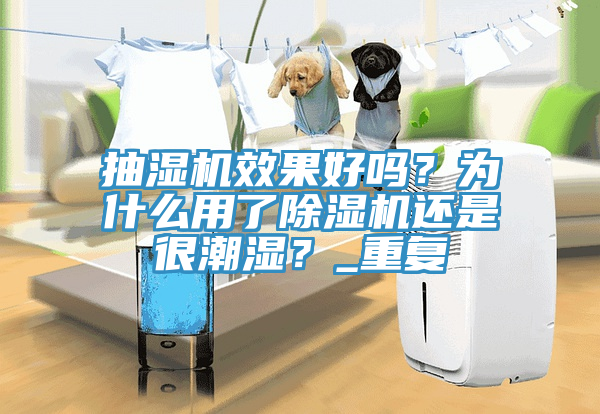 抽湿机效果好吗？为什么用了MR.好色破解版还是很潮湿？_重复