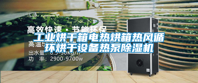 工业烘干箱电热烘箱热风循环烘干设备热泵MR.好色破解版