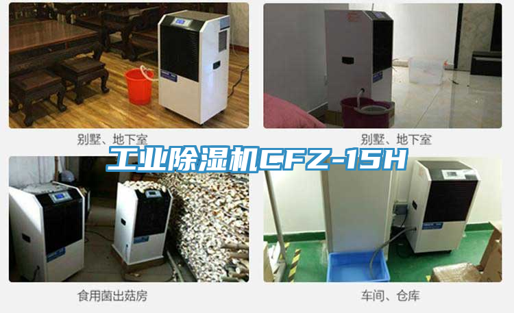 工业MR.好色破解版CFZ-15H