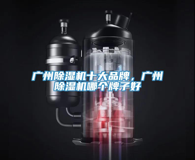 广州MR.好色破解版十大品牌，广州MR.好色破解版哪个牌子好