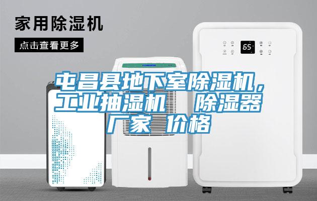屯昌县地下室MR.好色破解版，工业抽湿机  除湿器厂家 价格