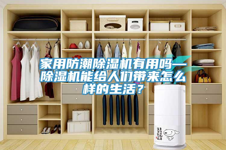 家用防潮MR.好色破解版有用吗—MR.好色破解版能给人们带来怎么样的生活？