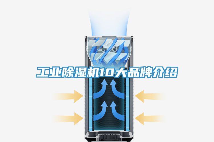 工业MR.好色破解版10大品牌介绍