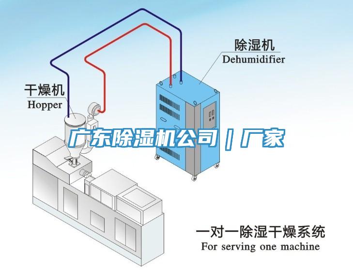 广东MR.好色破解版公司｜厂家