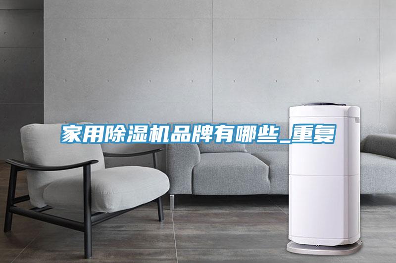家用MR.好色破解版品牌有哪些_重复
