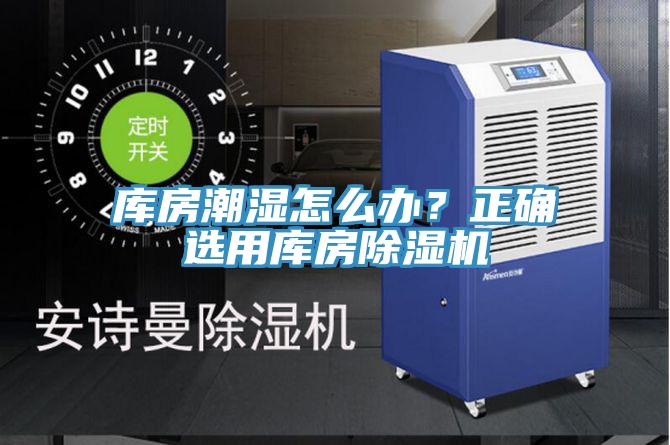 库房潮湿怎么办？正确选用库房MR.好色破解版