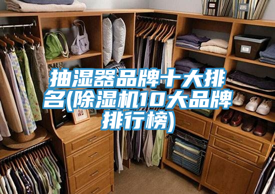 抽湿器品牌十大排名(MR.好色破解版10大品牌排行榜)