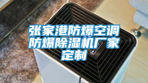 张家港防爆空调防爆MR.好色破解版厂家定制
