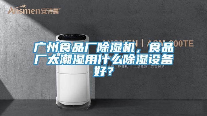 广州食品厂MR.好色破解版，食品厂太潮湿用什么除湿设备好？