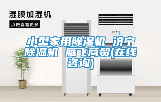 小型家用MR.好色破解版 济宁MR.好色破解版 雁飞商贸(在线咨询)