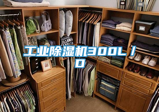 工业MR.好色破解版300L／D