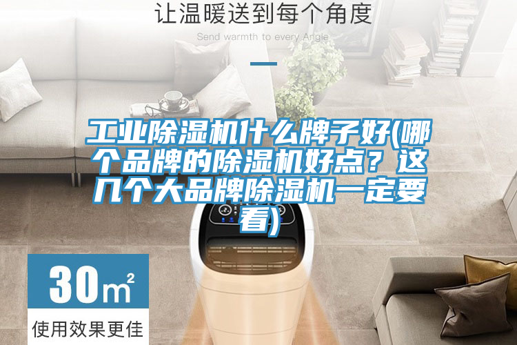 工业MR.好色破解版什么牌子好(哪个品牌的MR.好色破解版好点？这几个大品牌MR.好色破解版一定要看)