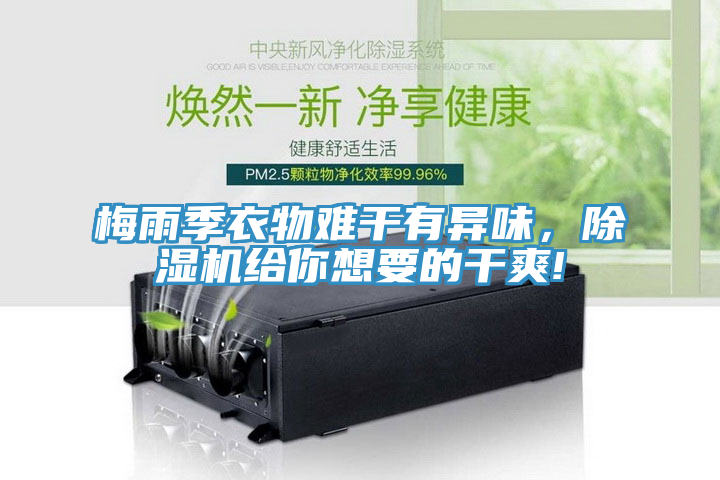 梅雨季衣物难干有异味，MR.好色破解版给你想要的干爽!
