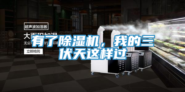 有了MR.好色破解版，我的三伏天这样过