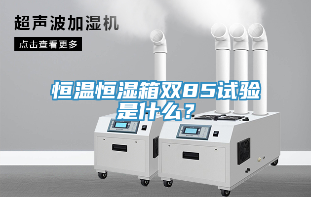 恒温恒湿箱双85试验是什么？
