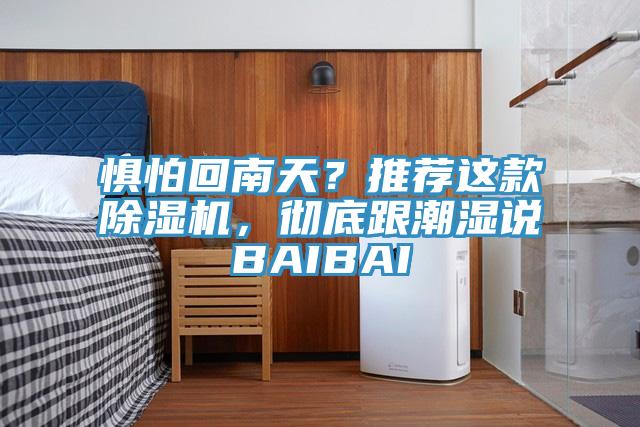 惧怕回南天？推荐这款MR.好色破解版，彻底跟潮湿说BAIBAI