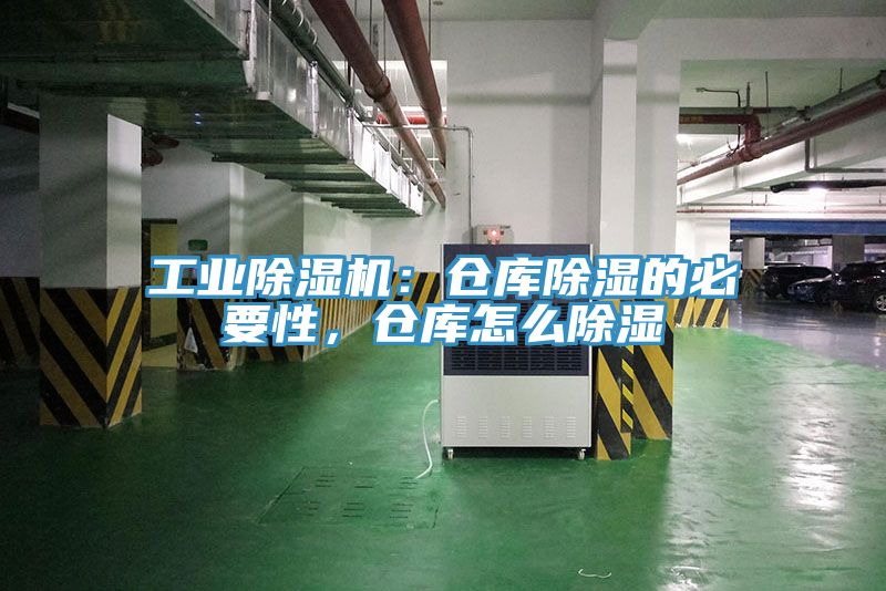 工业MR.好色破解版：仓库除湿的必要性，仓库怎么除湿