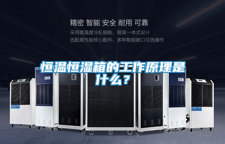 恒温恒湿箱的工作原理是什么？