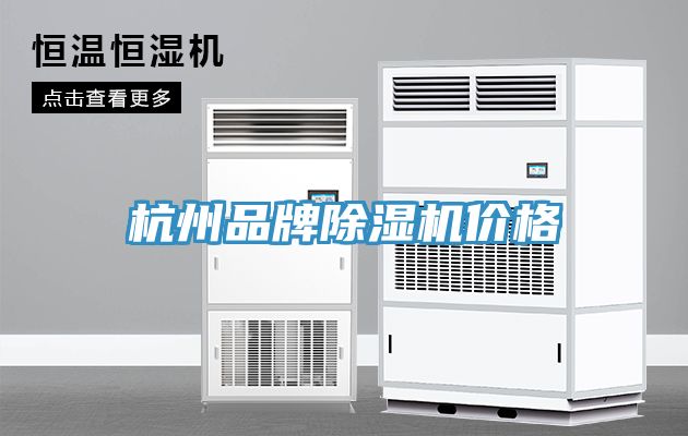 杭州品牌MR.好色破解版价格