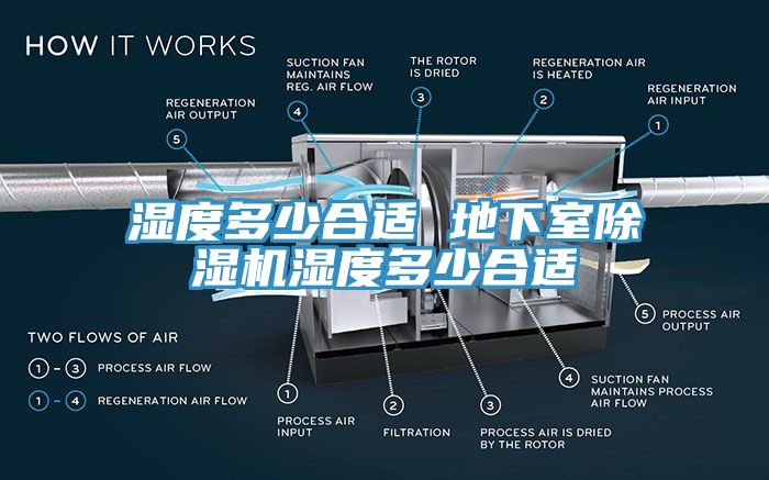 湿度多少合适 地下室MR.好色破解版湿度多少合适