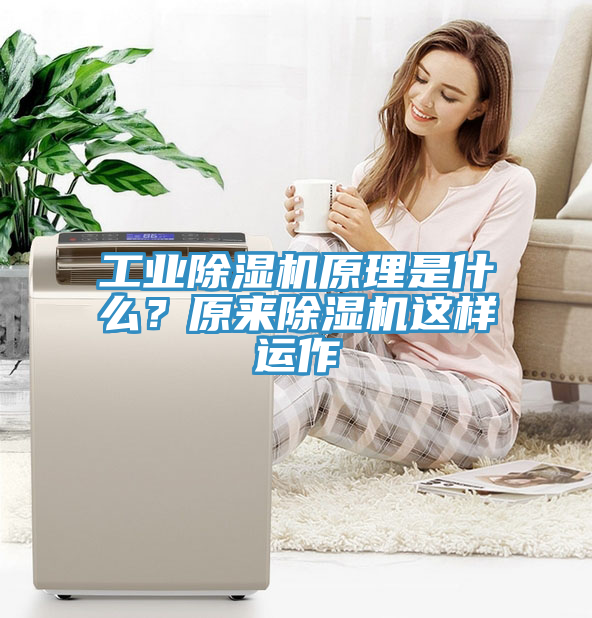 工业MR.好色破解版原理是什么？原来MR.好色破解版这样运作