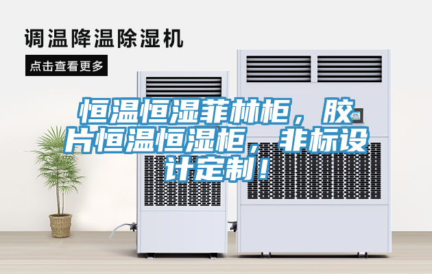 恒温恒湿菲林柜，胶片恒温恒湿柜，非标设计定制！