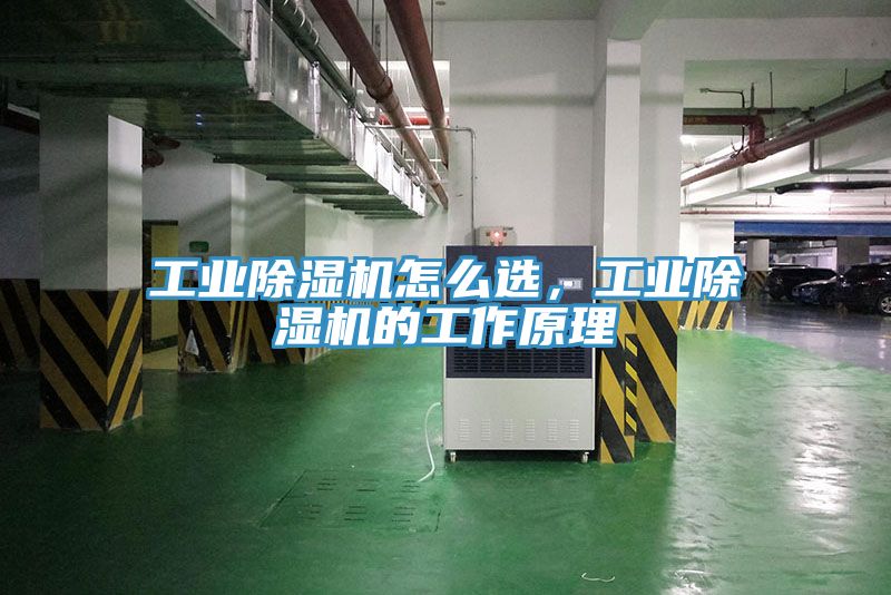 工业MR.好色破解版怎么选，工业MR.好色破解版的工作原理