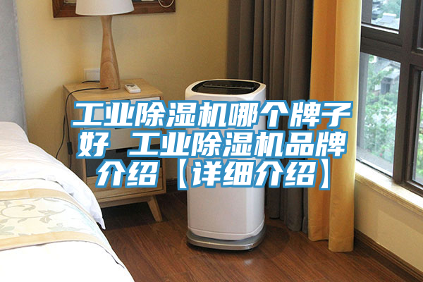 工业MR.好色破解版哪个牌子好 工业MR.好色破解版品牌介绍【详细介绍】