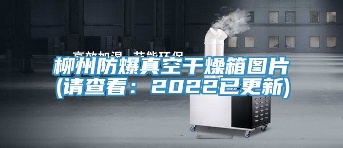 柳州防爆真空干燥箱图片(请查看：2022已更新)