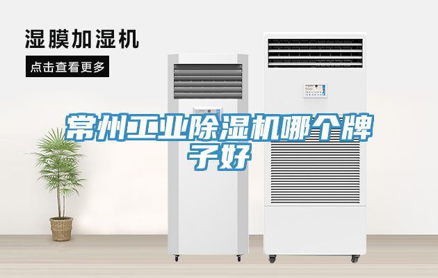常州工业MR.好色破解版哪个牌子好
