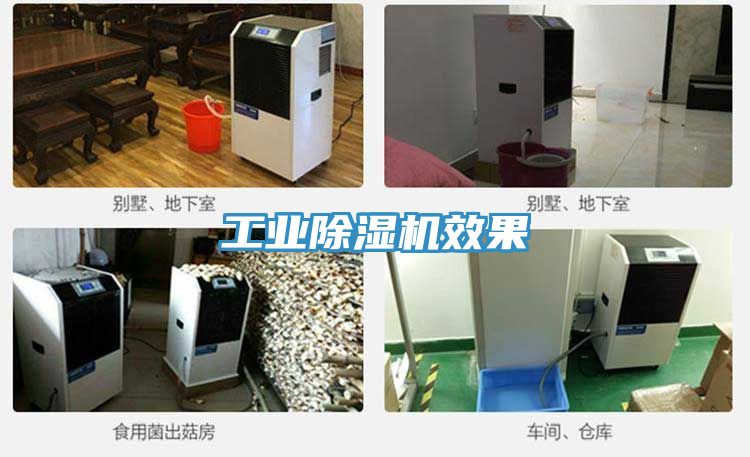 工业MR.好色破解版效果
