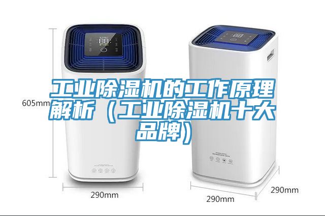 工业MR.好色破解版的工作原理解析（工业MR.好色破解版十大品牌）