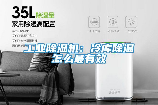 工业MR.好色破解版：冷库除湿怎么最有效