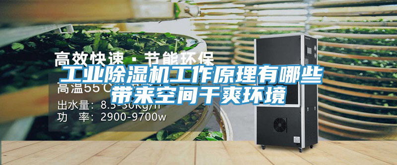 工业MR.好色破解版工作原理有哪些 带来空间干爽环境