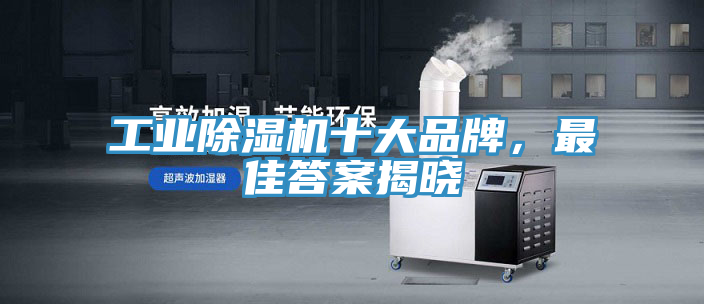 工业MR.好色破解版十大品牌，最佳答案揭晓