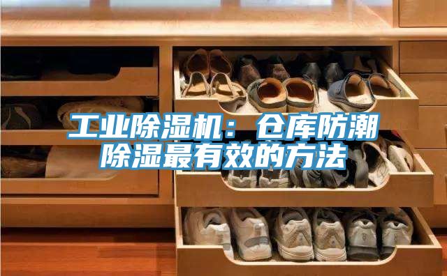 工业MR.好色破解版：仓库防潮除湿最有效的方法
