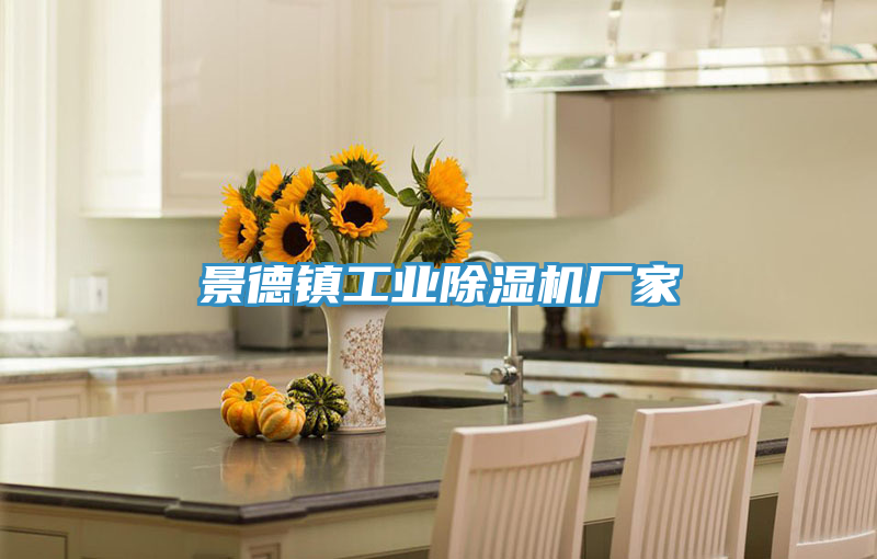 景德镇工业MR.好色破解版厂家